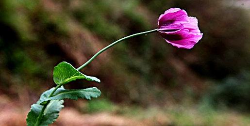 传《星空》发布会下周公布